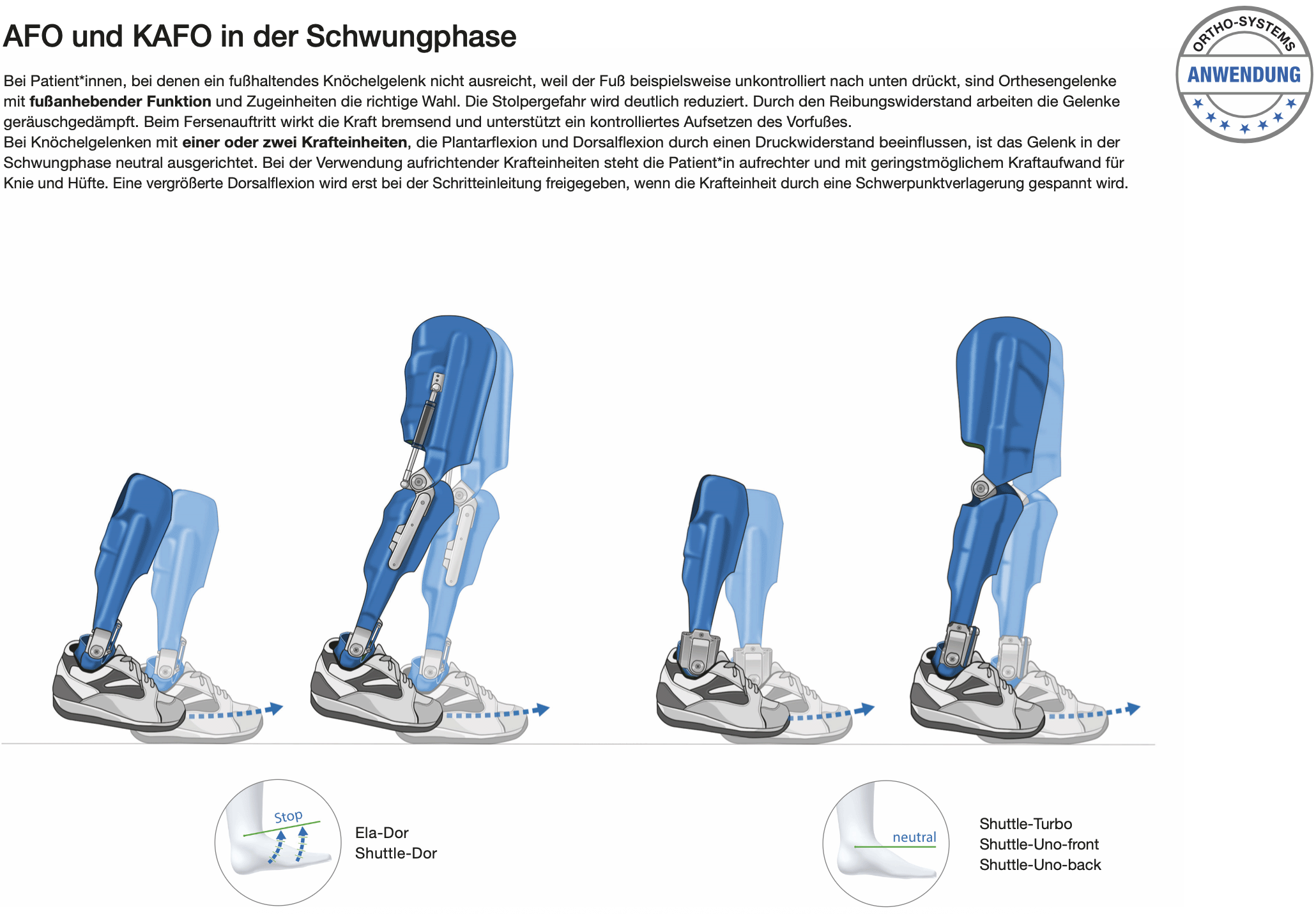 AFO bis RGO in der Schwungphase - Bild2