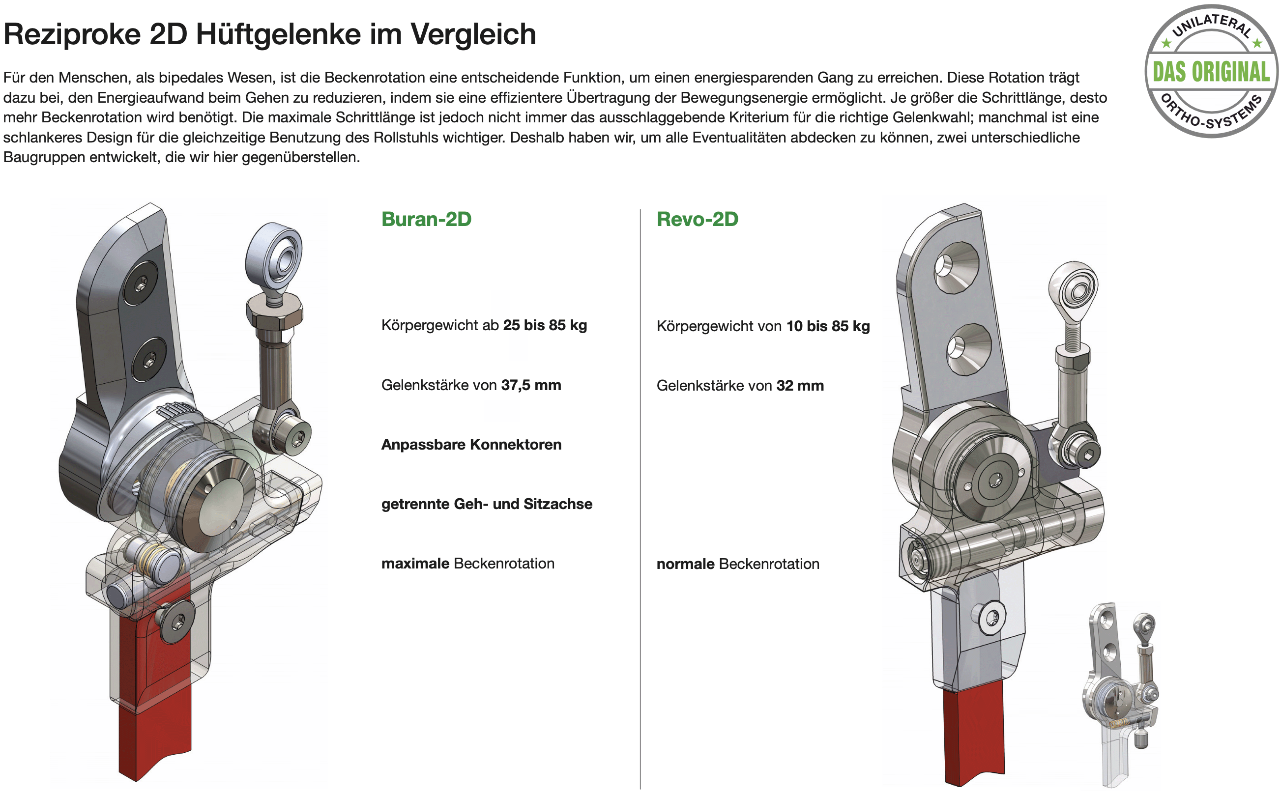 Abbildung 1 zur Funktionsübersicht RGO Hüftgelenke