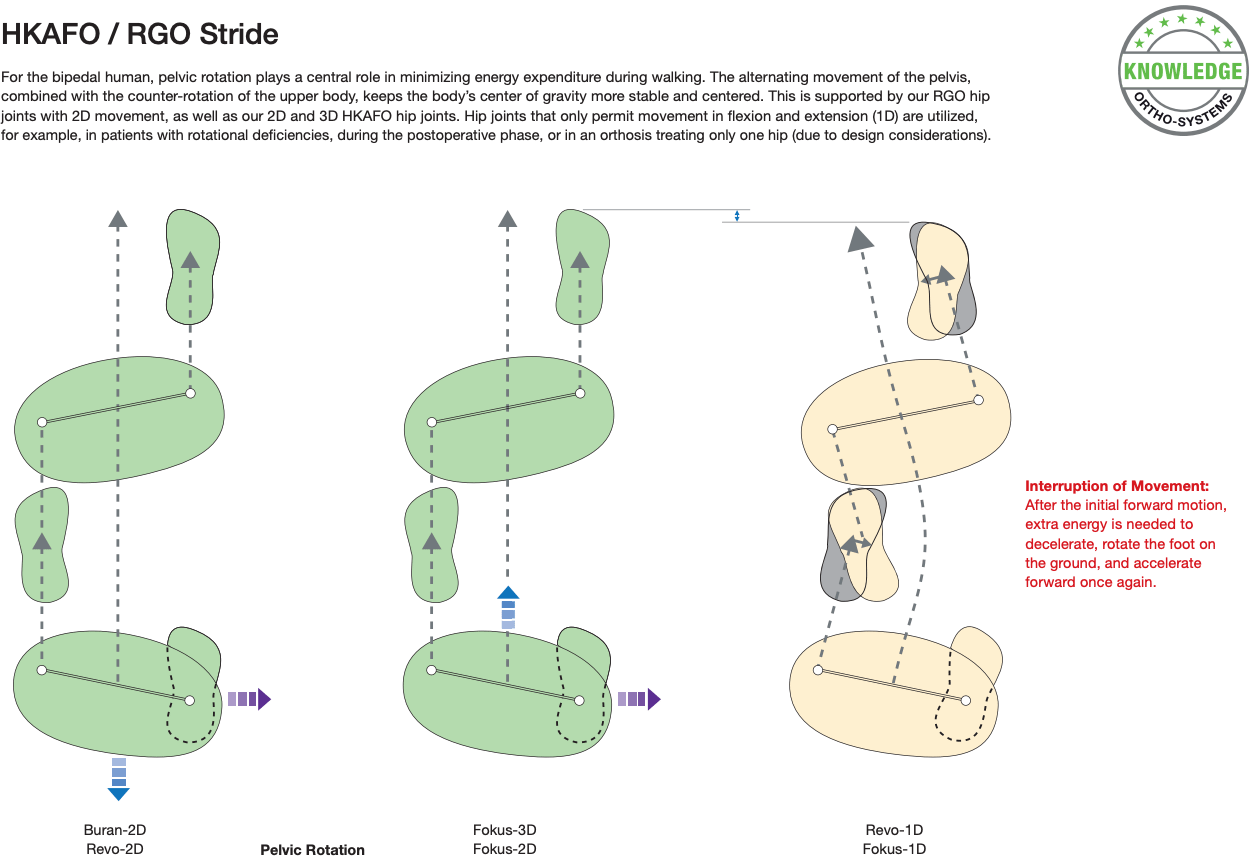 Step Width and HKAFO/RGO Stride - Image 2