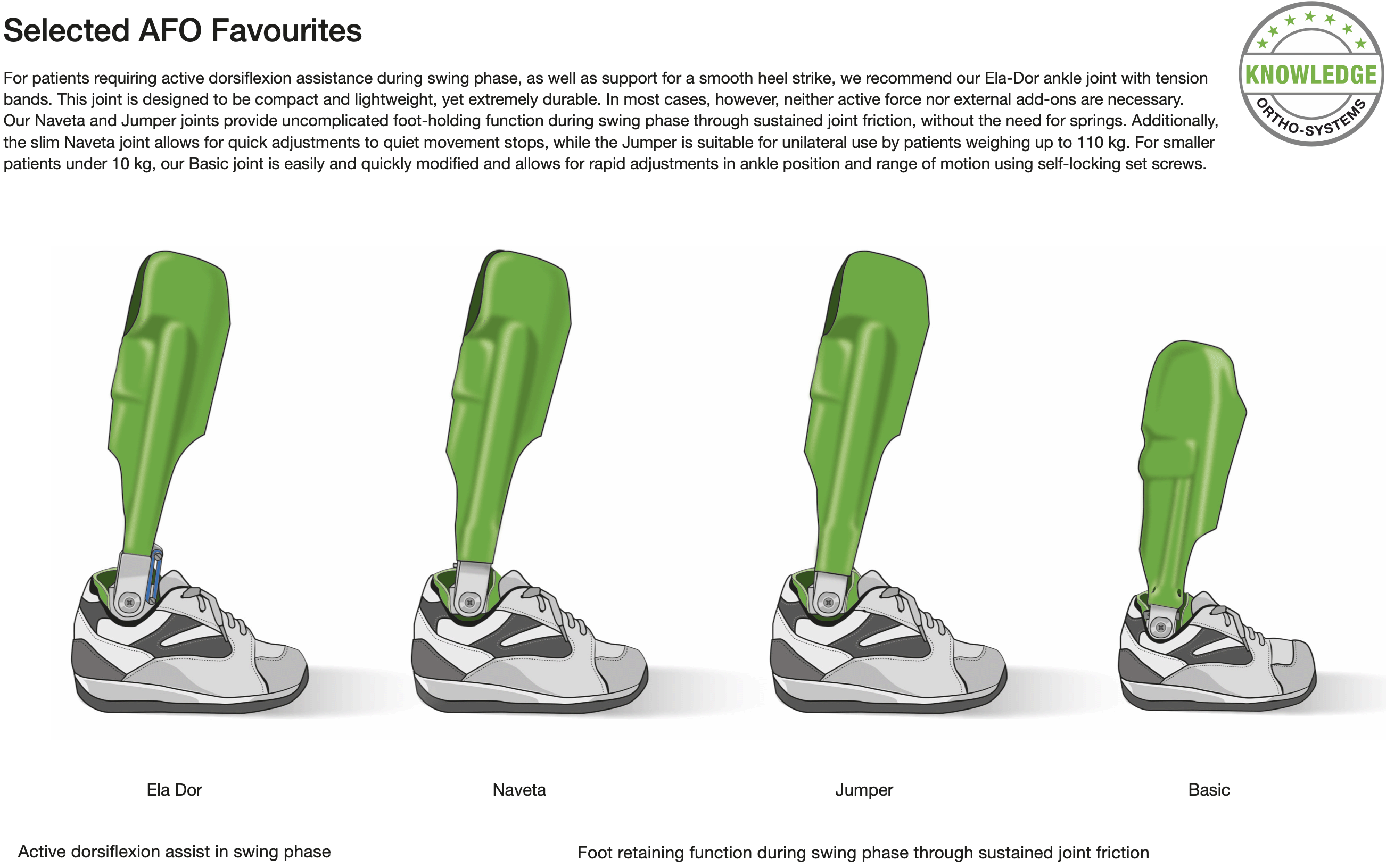 Figure 2 from the functional overview ankle joints