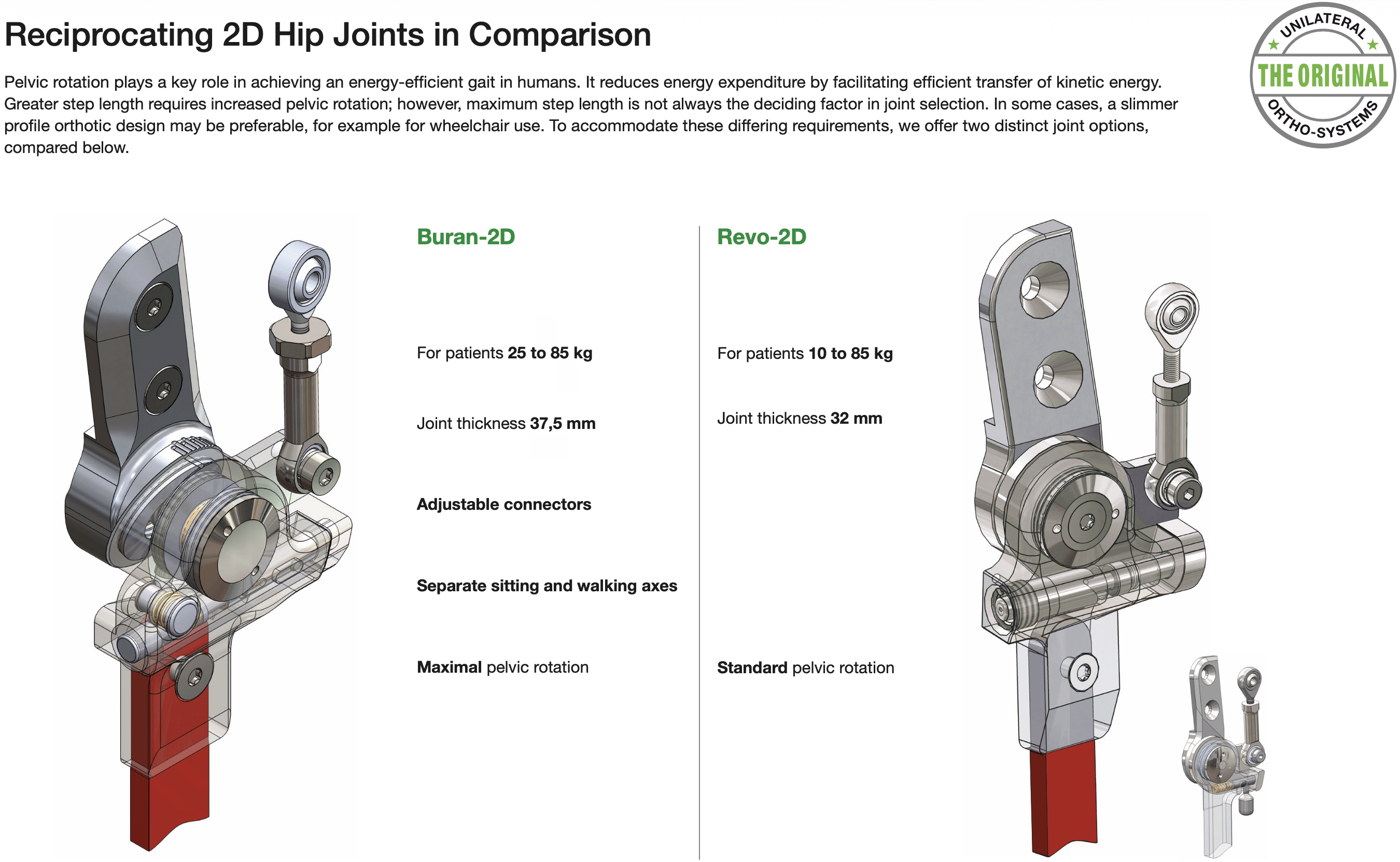 Figure 1 from the functional overview RGO hip joints