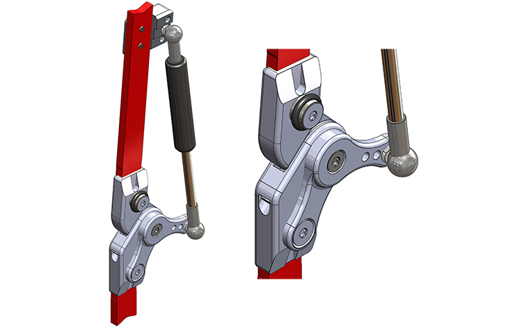 Liber-IN-Extensor-IN-S